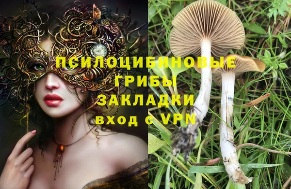 МДПВ Беломорск
