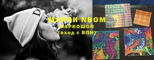 дмт Белокуриха