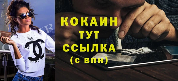 прущие грибы Снежногорск